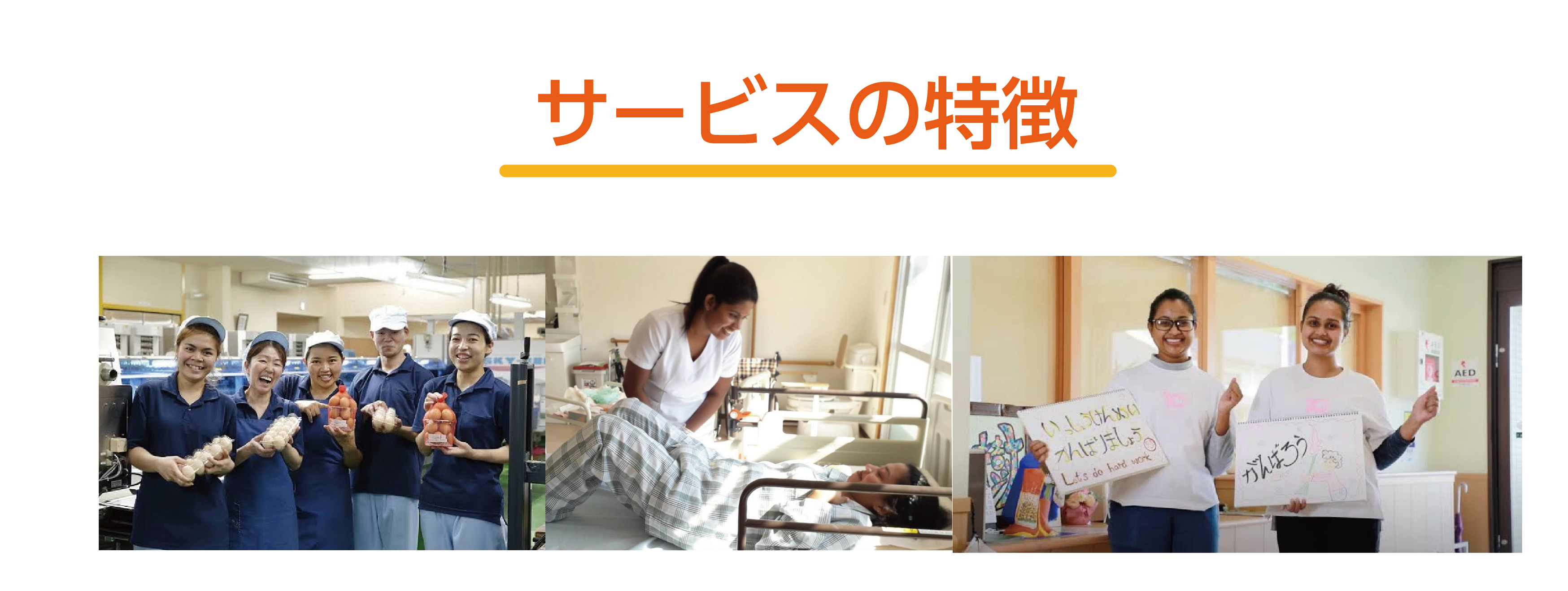 サービスの特徴